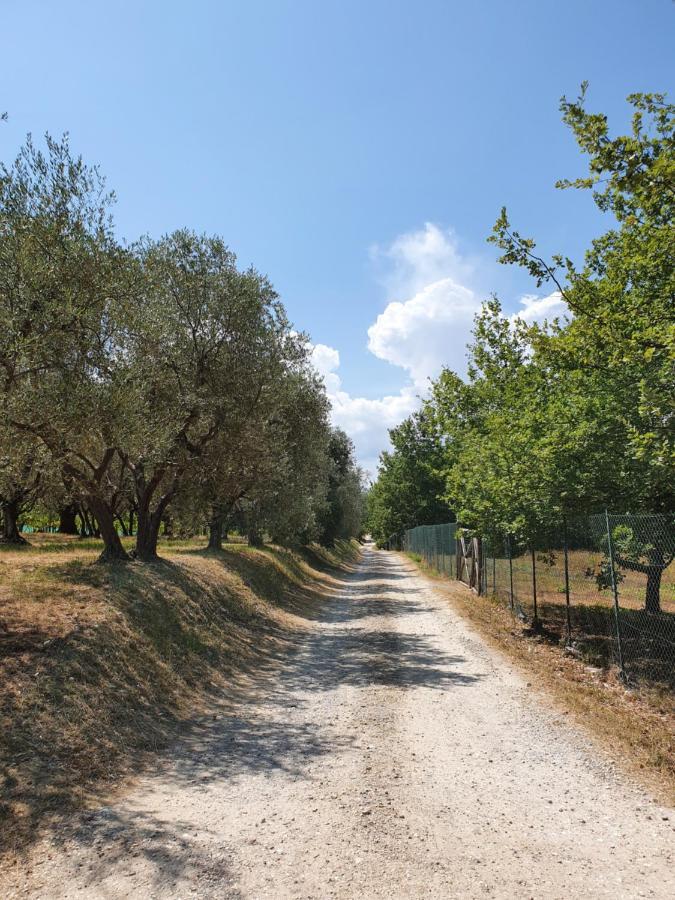 Sweet In Chianti Villa Tavarnelle Val di Pesa Ngoại thất bức ảnh