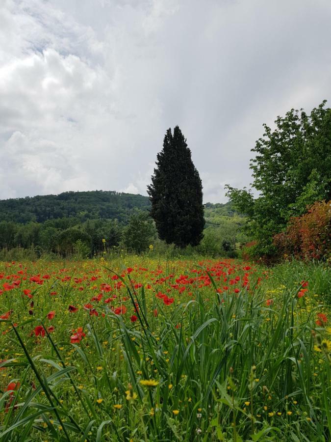 Sweet In Chianti Villa Tavarnelle Val di Pesa Ngoại thất bức ảnh