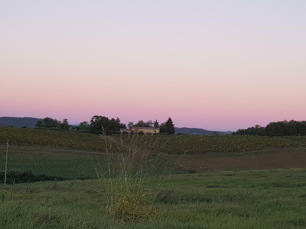 Sweet In Chianti Villa Tavarnelle Val di Pesa Ngoại thất bức ảnh